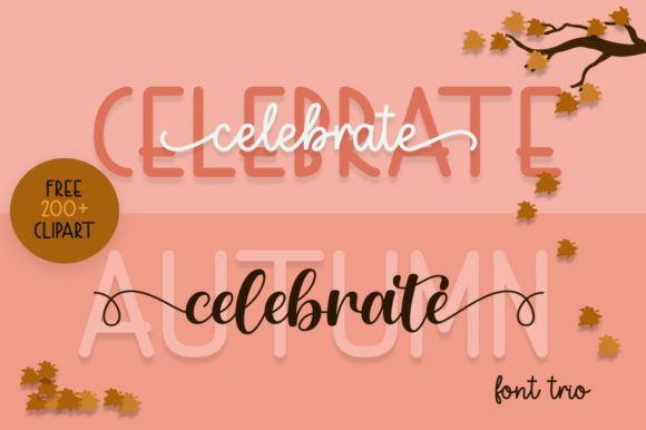 Autumn Celebrate Font for Seasonal Brand Campaigns