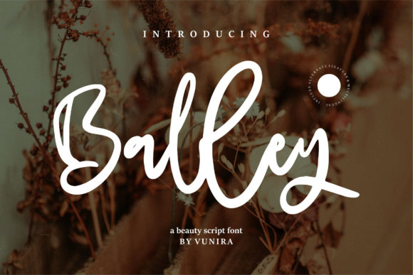 Balley Script Font for Warm, Refreshing Brand Visuals