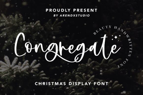 Congregate Font: Elegant Script Handwritten Fonts for Small Business Branding
