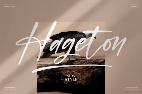 Hageton Script Font for Elegant Brand Identity Design