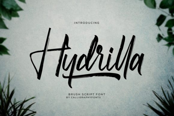 Hydrilla Script Font for Elegant Brand Identity Design