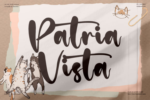 Patria Vista Font for Elegant Campaign Design
