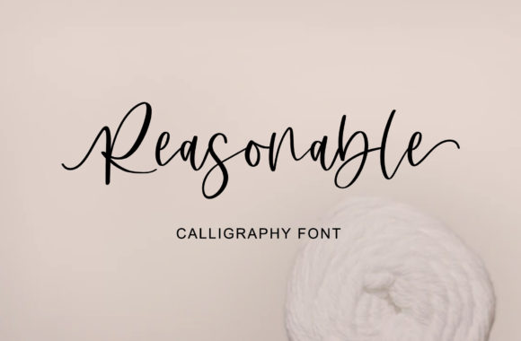 Reasonable Script Font for Elegant Brand Identity