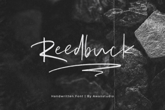 Reedbuck Font for Elegant, Refreshing Campaign Design