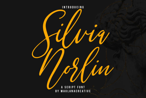 Silvia Norlin Script Font for Handmade Creators
