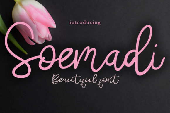 Soemadi: A Playful Script Font That Makes Campaigns Stand Out