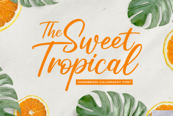 Sweet Tropical Font for Elegant Branding