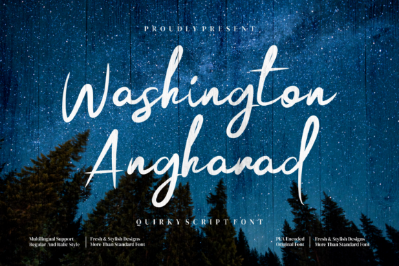 Washington Angharad: Elegant Script Font for High-Impact Branding